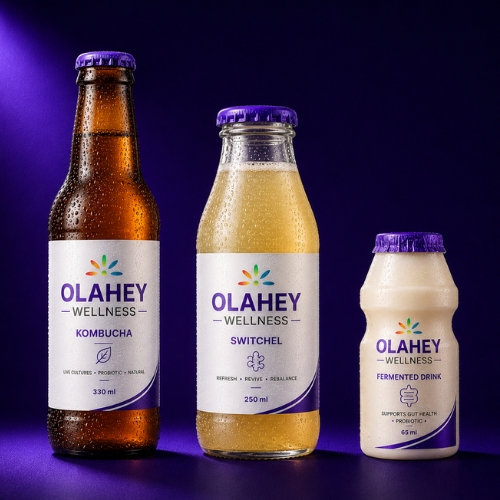 Kombucha, Switchel & Fermented Drinks